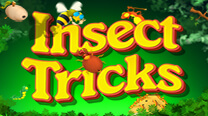 Ігровий автомат Insect Tricks