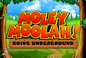 Игровой автомат Moley Moolah